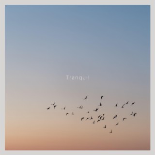 Tranquil