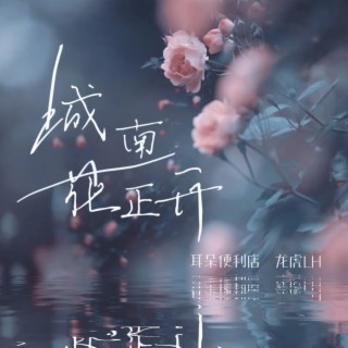 城南花正开 ft. 龙虎LH lyrics | Boomplay Music