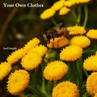 Your Own Clothes