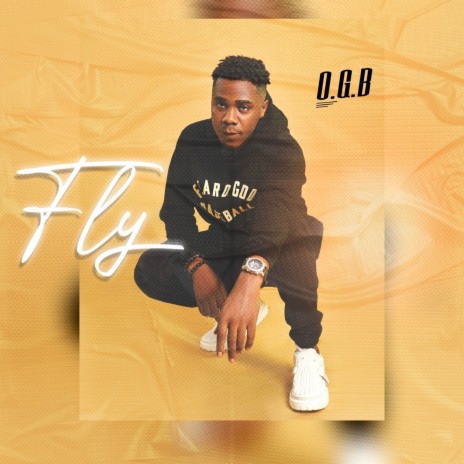 Fly | Boomplay Music