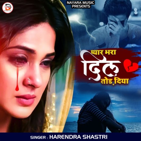 Pyar Bhra Dil Tod Diya (Hindi) | Boomplay Music