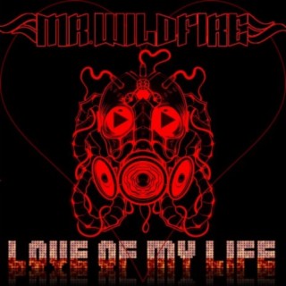 Love of My Life lyrics | Boomplay Music