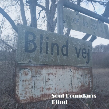 Blind | Boomplay Music