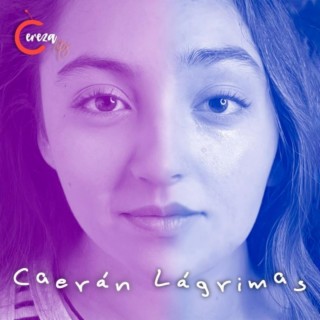 Caerán Lágrimas lyrics | Boomplay Music