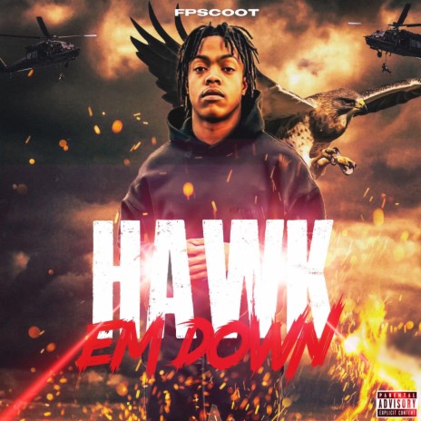 Hawk em Down | Boomplay Music