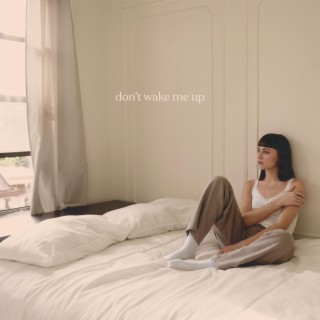 Don't Wake Me Up lyrics | Boomplay Music