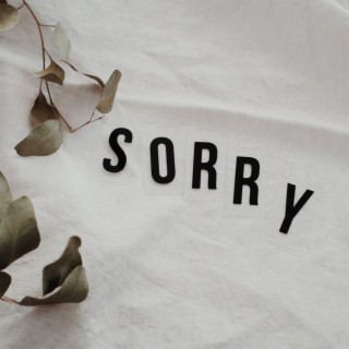 Sorry Not Sorry lyrics | Boomplay Music