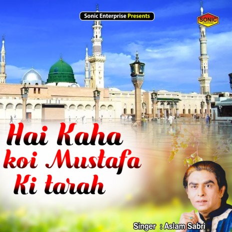 Hai Kaha Koi Mustafa Ki Tarah (Islamic) | Boomplay Music