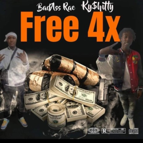 Free 4x ft. Kyshitty 4x
