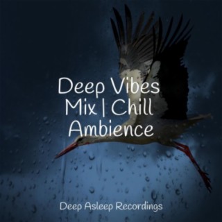 Deep Vibes Mix | Chill Ambience