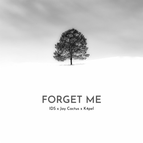 Forget Me ft. Jay Cactus & K4pel | Boomplay Music