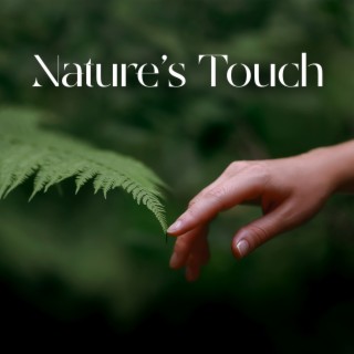 Nature’s Touch: Natural Calm, Forest & Waterfall Sounds | Deep Relax, Quiet Meditation, Inner Peace