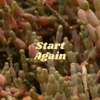 Start Again