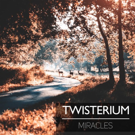 Miracles | Boomplay Music