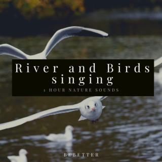 1hour Relaxing River Sound while Birds singing