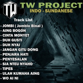 TW Project18