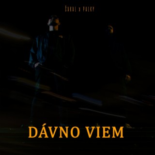 Dávno Viem ft. Palky lyrics | Boomplay Music