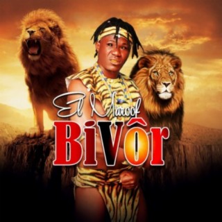 Bivôr