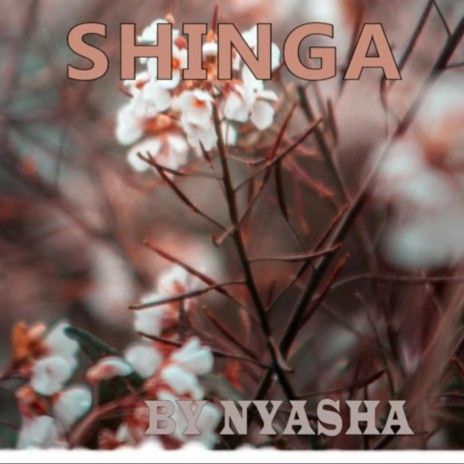 Shinga | Boomplay Music