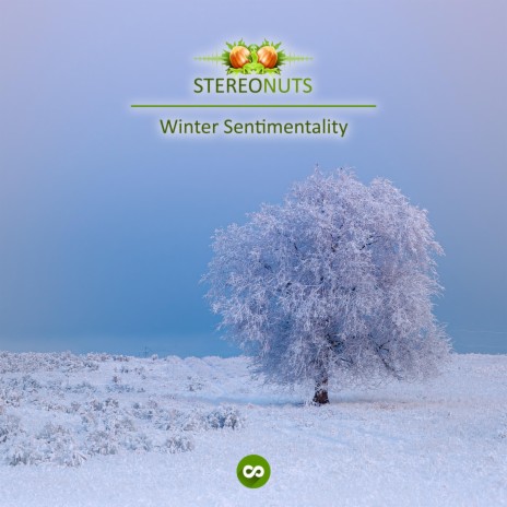 Winter Sentimentality (No Melody) | Boomplay Music