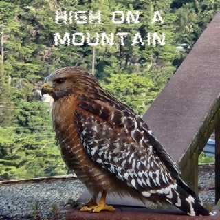 High On A Mountain