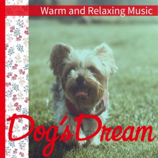 Warm and Relaxing Music