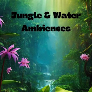 Jungle & Water Ambiences: Clear Your Thoughts & Unwind, Serene Water Meditation (Rainfall, Streams, Ocean Waves)