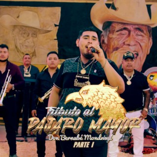 Tributo al Pajaro Mayor, Pt.1 (En Vivo)