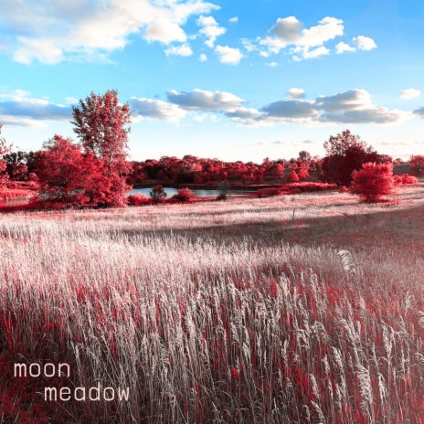 moon meadow | Boomplay Music