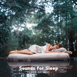 Sounds for Sleep: Peace of Mind, Natural Baby Sleep, Soft Sound, Water & Rain, Sound of Silence