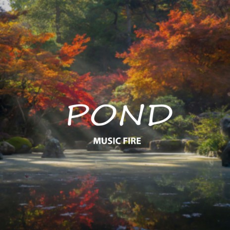 Pond | Boomplay Music