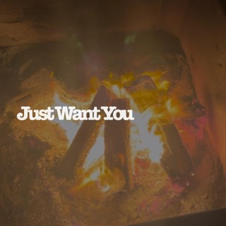 Just Want You lyrics | Boomplay Music