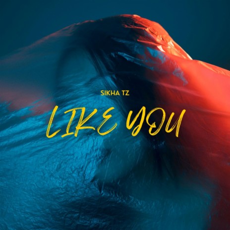 Like You | Boomplay Music