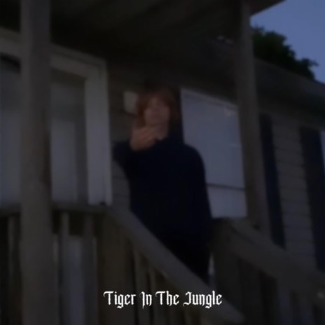 Tiger In The Jungle | Boomplay Music