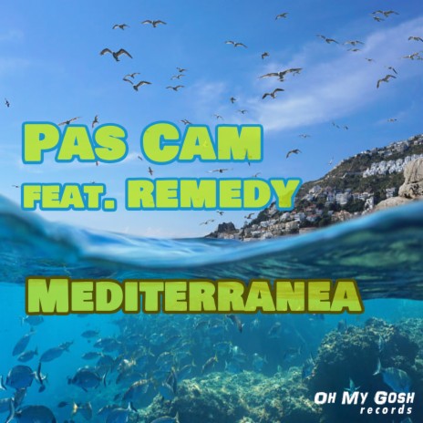 Mediterranea ft. Remedy | Boomplay Music