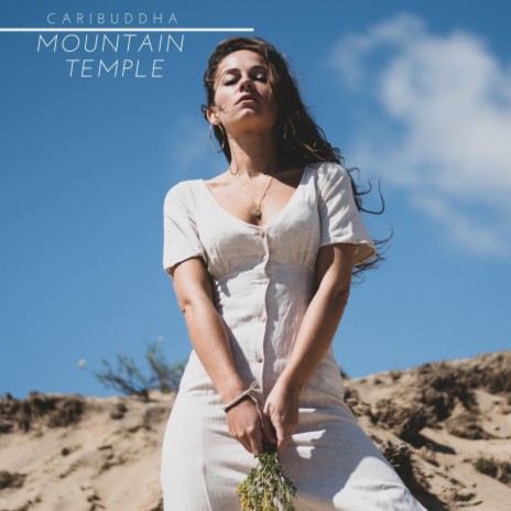 Mountain Temple ft. Silk Surgeon | Boomplay Music