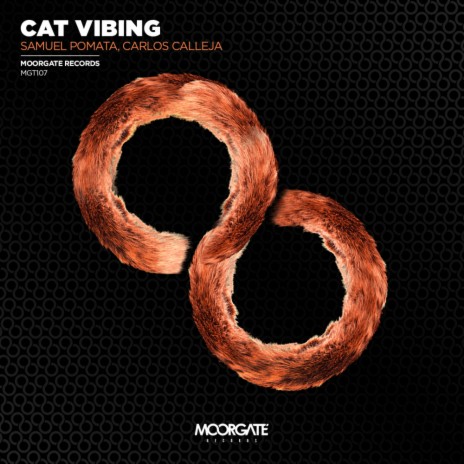 Cat Vibing (Original Mix) ft. Carlos Calleja | Boomplay Music