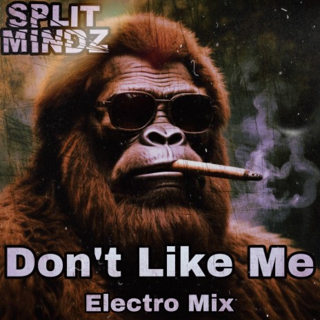 Don't Like Me (Electro Mix) | Boomplay Music