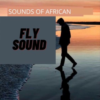 Fly Sound