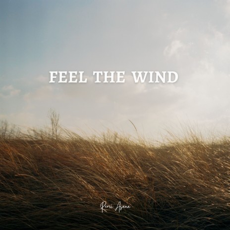 Feel The Wind | Boomplay Music