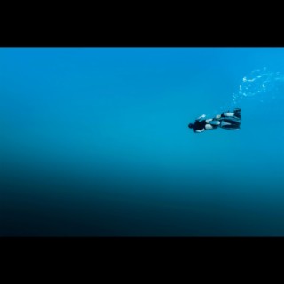 Diving