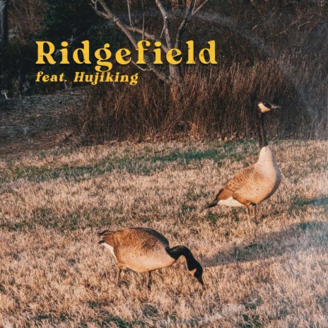 Ridgefield (feat. Hujiking) | Boomplay Music