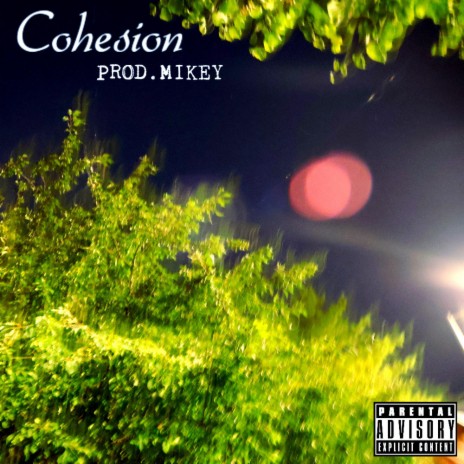 Cohesion | Boomplay Music