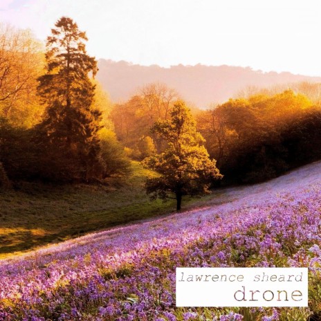 drone | Boomplay Music