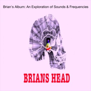 Brian's Head: An Exploration of Sounds & Frequencies