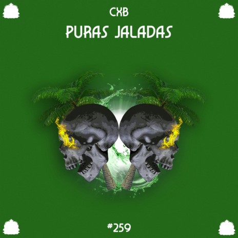 Puras Jaladas | Boomplay Music