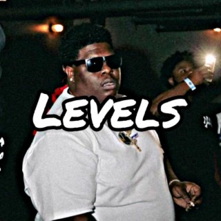 Levels (Remix)