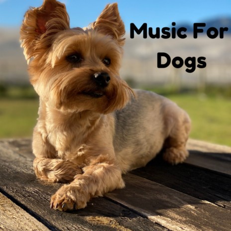 Ruff Day Today ft. Music For Dogs Peace, Relaxing Puppy Music & Calm Pets Music Academy | Boomplay Music