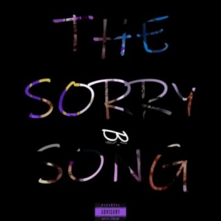 The Sorry Song