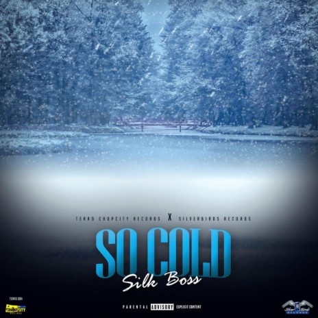 So Cold ft. Terro Don | Boomplay Music